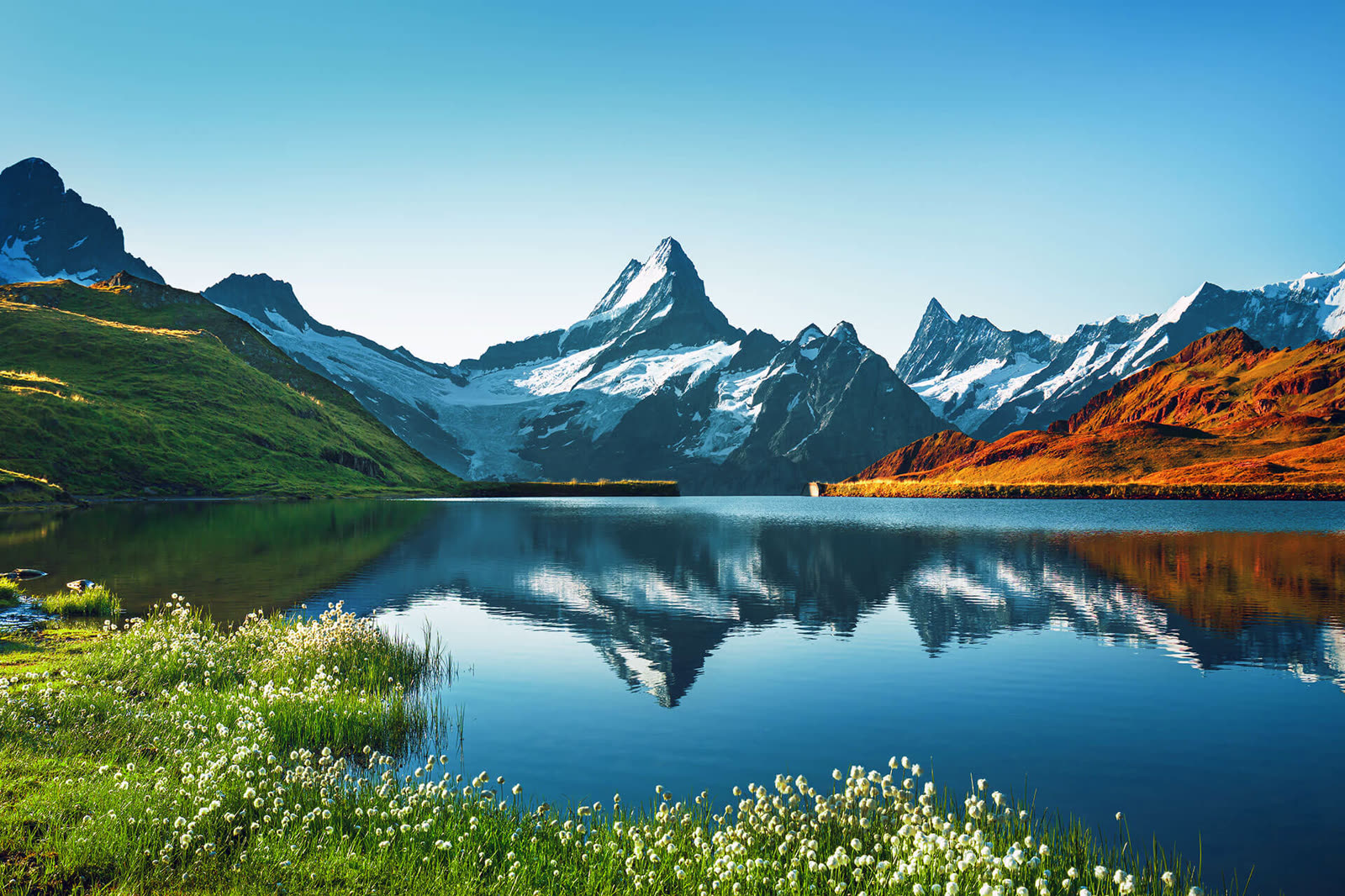 Swiss Alps